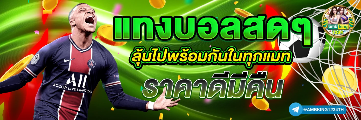 เว็บทำเทิร์น - แบนเนอร์โปรโมชั่น