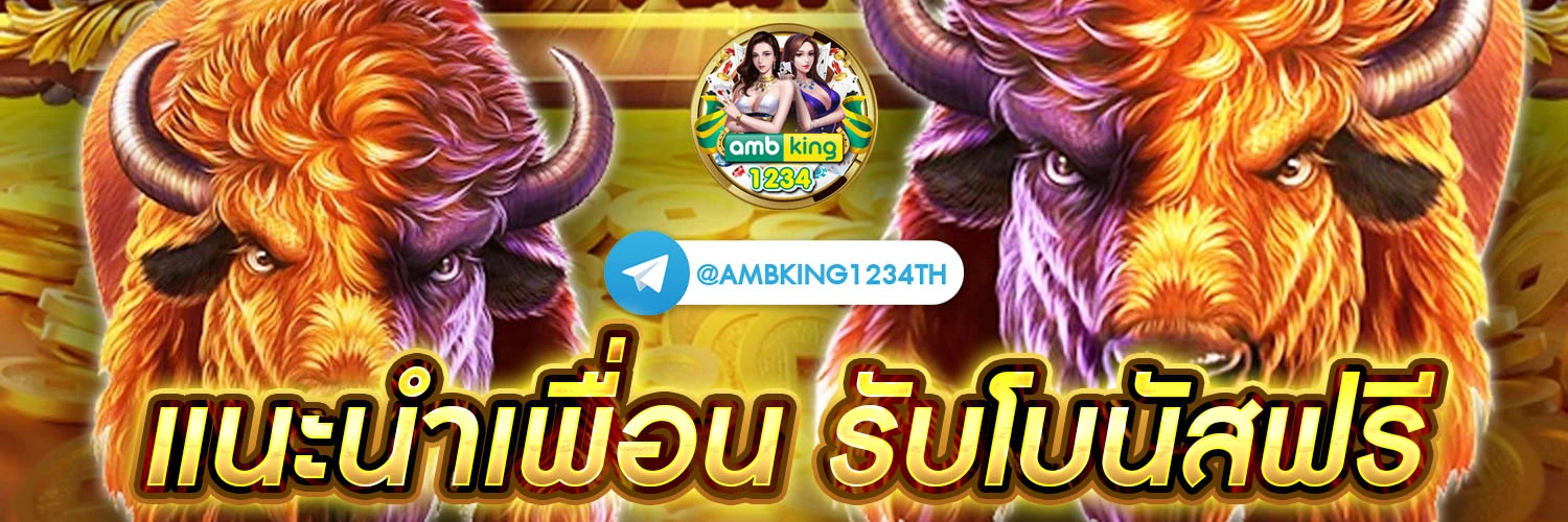 จุดกลางเเตด - แบนเนอร์โปรโมชั่น